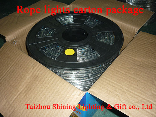 Rope light carton