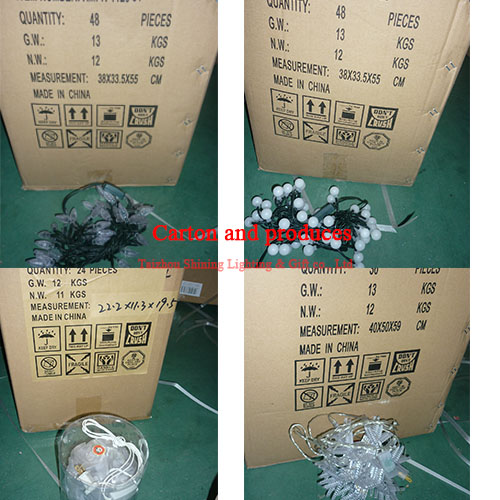 Christmas light carton package